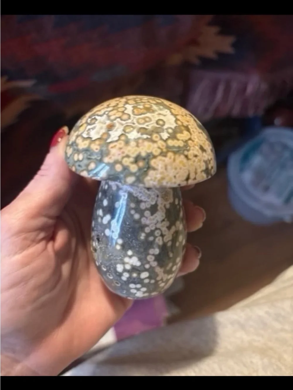 8th Vein Ocean Jasper Mushroom